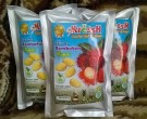 Agen Keripik Buah di Bangka